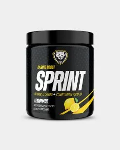 6AM Run Sprint Pre-Workout -Fitness Equipment Sales 593404 745558343536 Sprint Lemonade grey