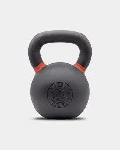 Kettlebell Kings Powder Coated Kettlebell -Fitness Equipment Sales SKU5960257 grey