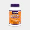 NOW Cordyceps 1 NOW Cordyceps -Fitness Equipment Sales prod450054 grey